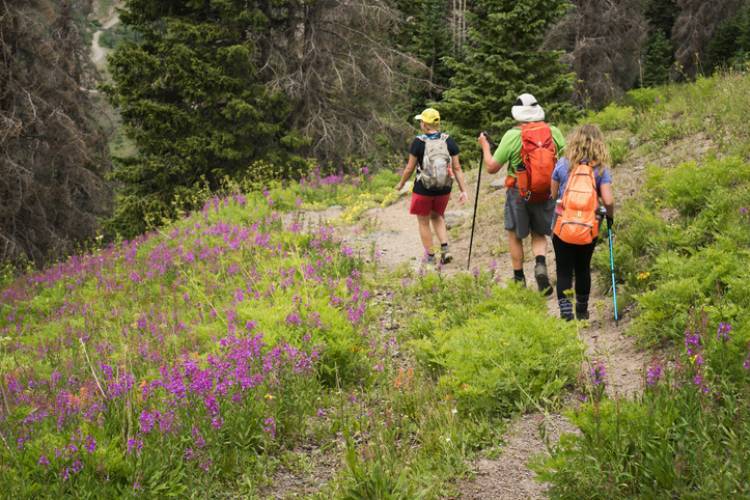 family hiking in vail